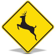Animal Crossing Signs